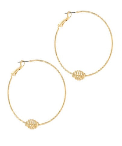 Accented Coil Hoops