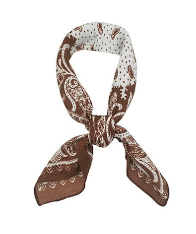 Paisley Print Scarf