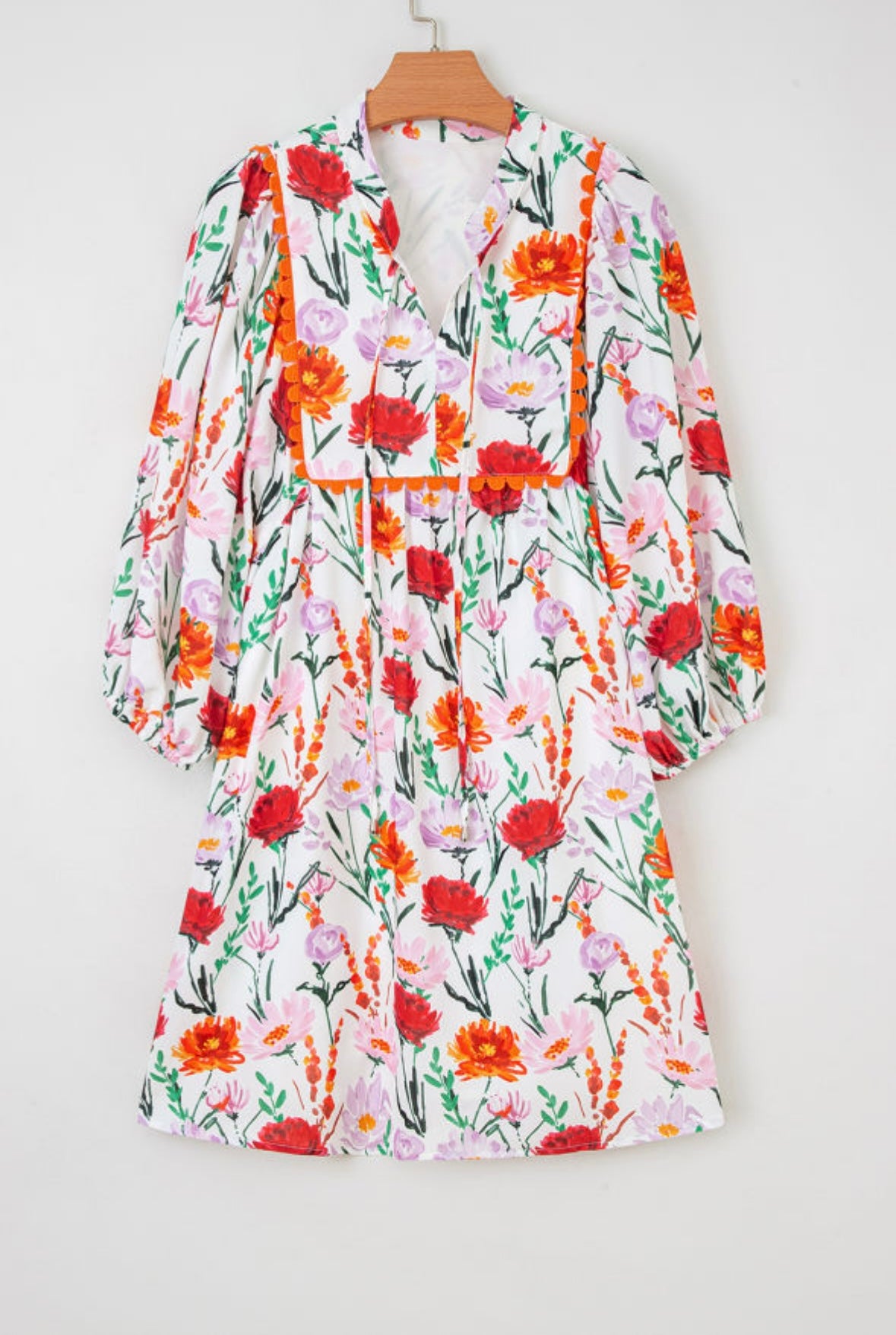 Floral Print 3/4 Puff Sleeve Ricrac Trim Mini Dress